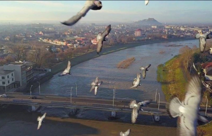 "Водна артерія" у місті над Латорицею стрімко "мілішає"