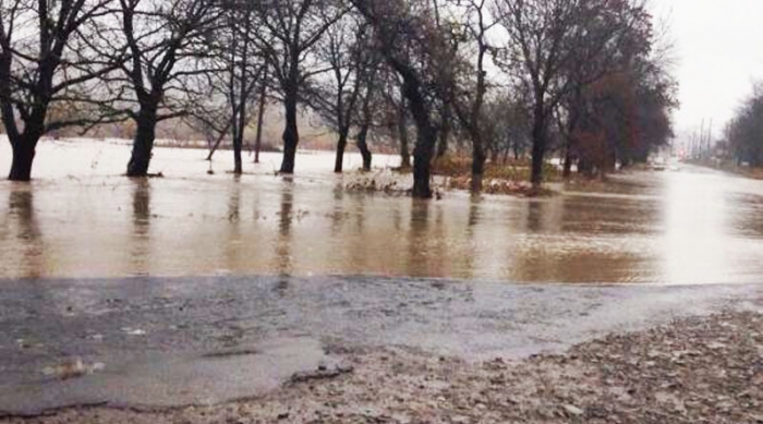 Підтопленими на Закарпатті залишаються 231 дворогосподарство та 1723 гектари сільськогосподарських угідь
