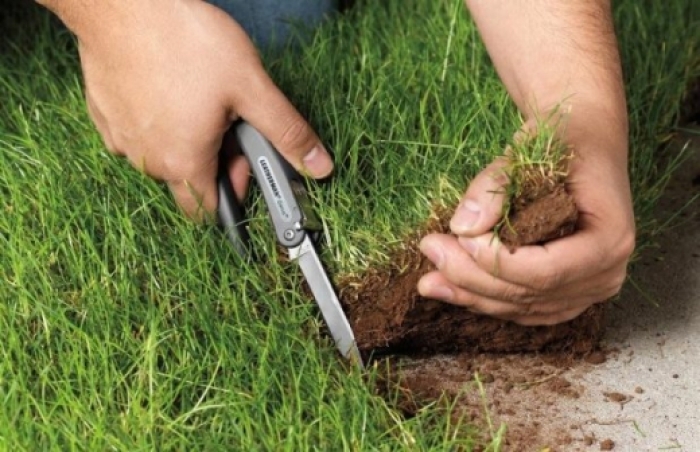 Суд розглядає  "земельний" позов прокурорів в інтересах Ужгородської міської ради