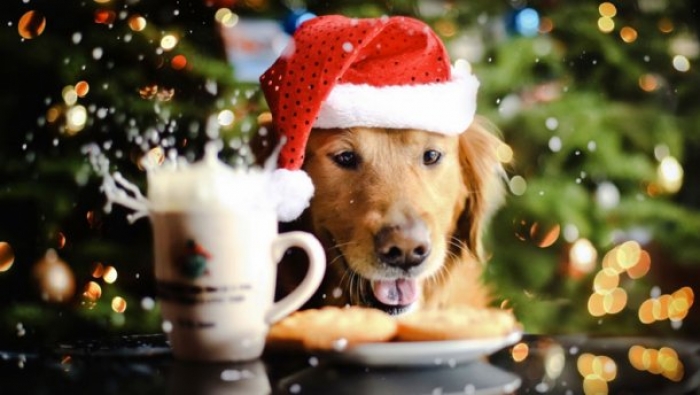 У народі звикли казати:  як Новий рік розпочнеш, так його і проживеш