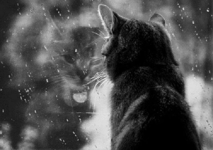 Завтра на Закарпатті передбачається хмарна погода з проясненням