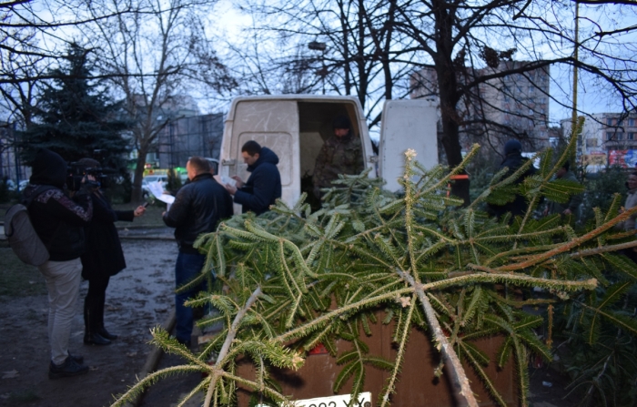 Лісових красунь без чіпів шукали під час спецрейду в Ужгороді