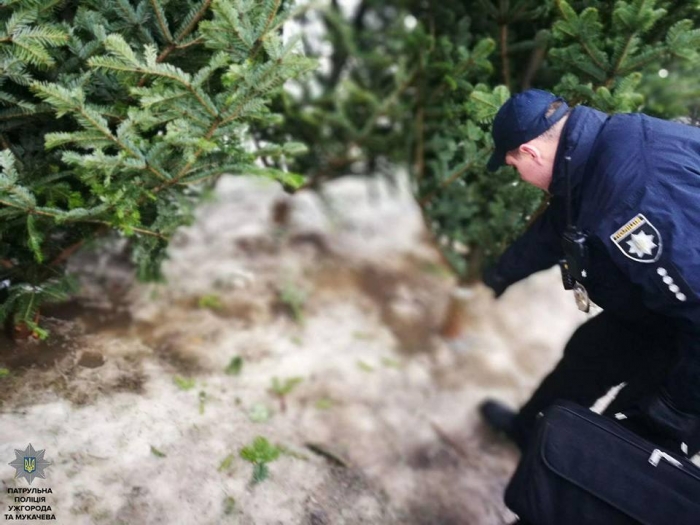 В Ужгороді патрульні перевіряли продавців ялинок 