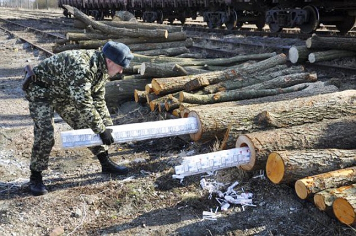 Контрабанда на Закарпатті може стати історією: планують повернення кримінальної відповідальності