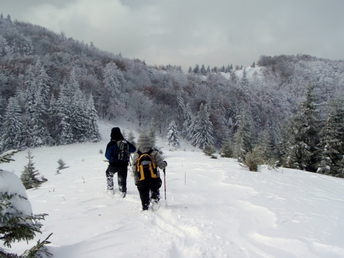 На Рахівщині рятувальники розшукали шукачів екстриму на полонині Урда