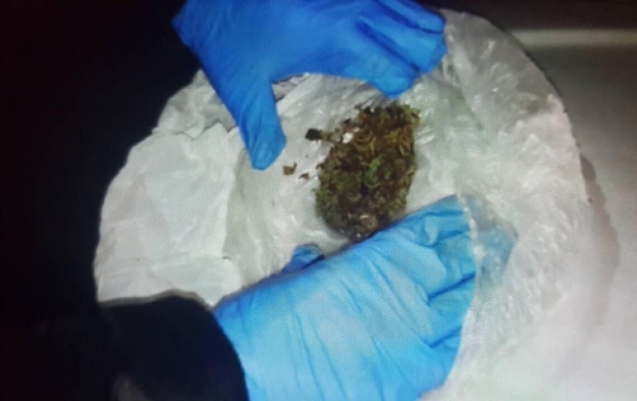 На Свалявщині поліція "взяла" пенсіонера з наркотичною "травичкою"