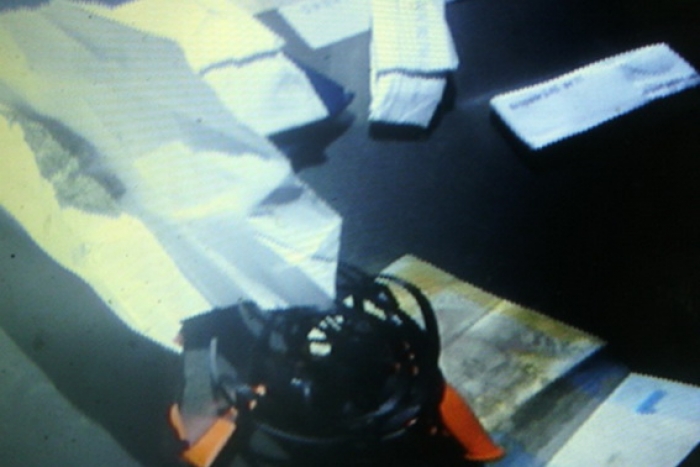 У Перечині копи затримали студента зі "звеселячою травичкою"