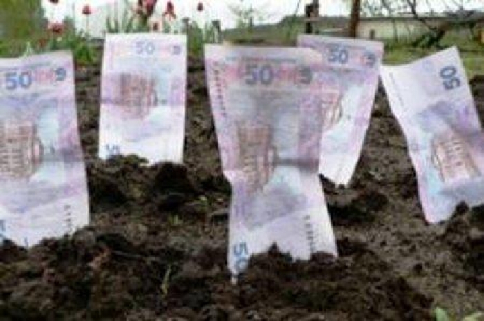 На Берегівщині можуть повернути у власність громади землі на 10 мн грн