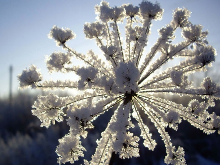 Що готує погода закарпатцям на вихідні