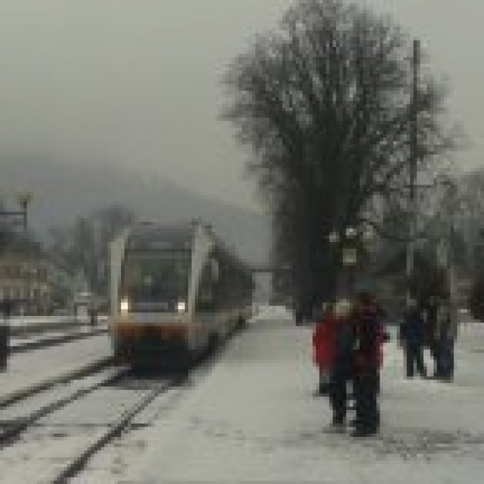 Новенький рейковий автобус поєднав Рахів з Коломиєю