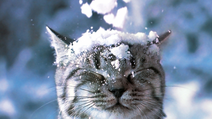 Чим завтра здивує погода закарпатців