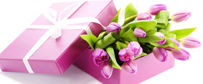 Цікаві думки ужгородців щодо святкування "чоловічого" і "жіночого" свят