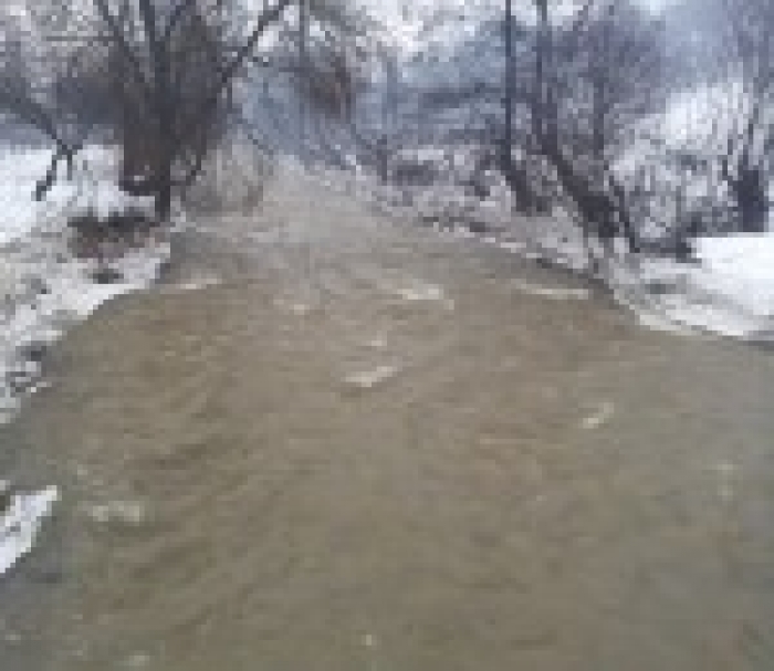 Закарпаття пропонує Словаччині допомогу у ліквідації льодяного затору на Ужі - розвиток ситуації