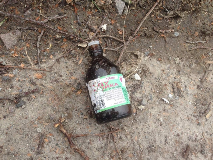 І приємно, і "корисно": закарпатські пияки перейшли на настоянку глоду