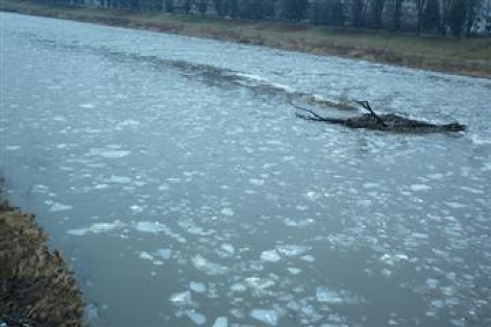 На Закарпатті продовжуються дощі і стоїть висока вода