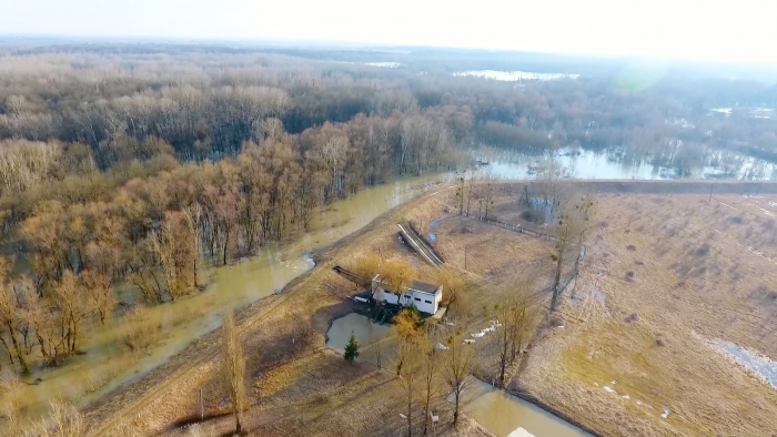 Відкачування насосною станцією №5 Латорицької осушувальної системи паводкового стоку в р.Латориця