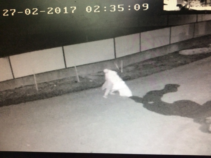 Мукачівський викрадач церковного майна злякався кари Господної і повернув крадене