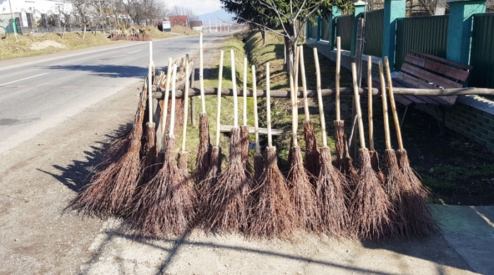 Актуально на весну: де продають найкращі березові віники Закарпаття