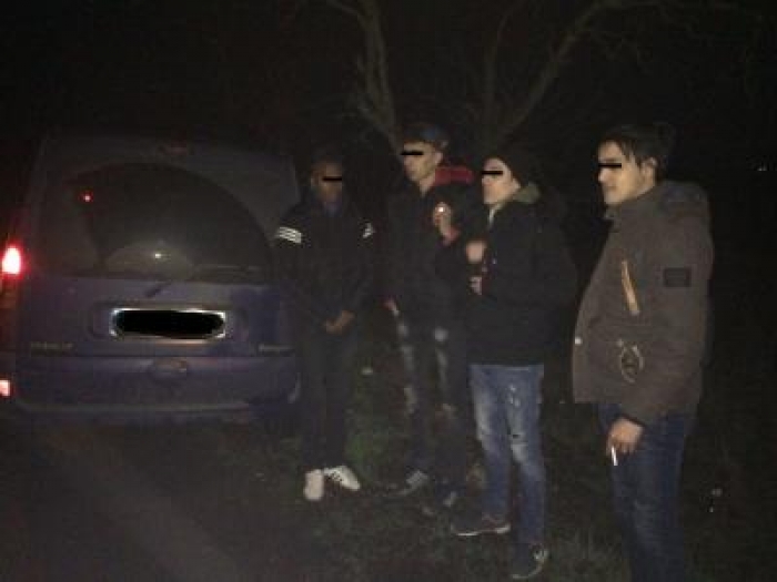 Прикордонники затримали на Берегівщині нелегалів та їхнього провідника