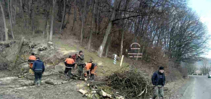 Із львівського боку зробили дорогу. Із закарпатського – "зроблять" ліс