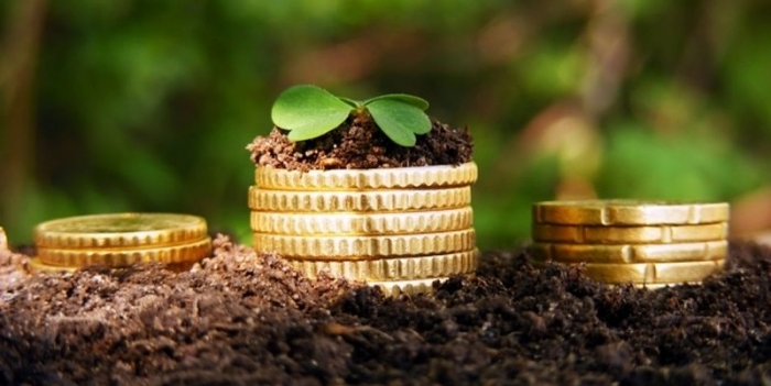 Закарпатські податківці: нову форму податкової декларації з плати за землю вже затверджено