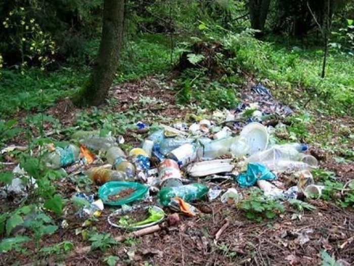 Сміттєвий безлад може призвести до екологічної катастрофи на Закарпатті