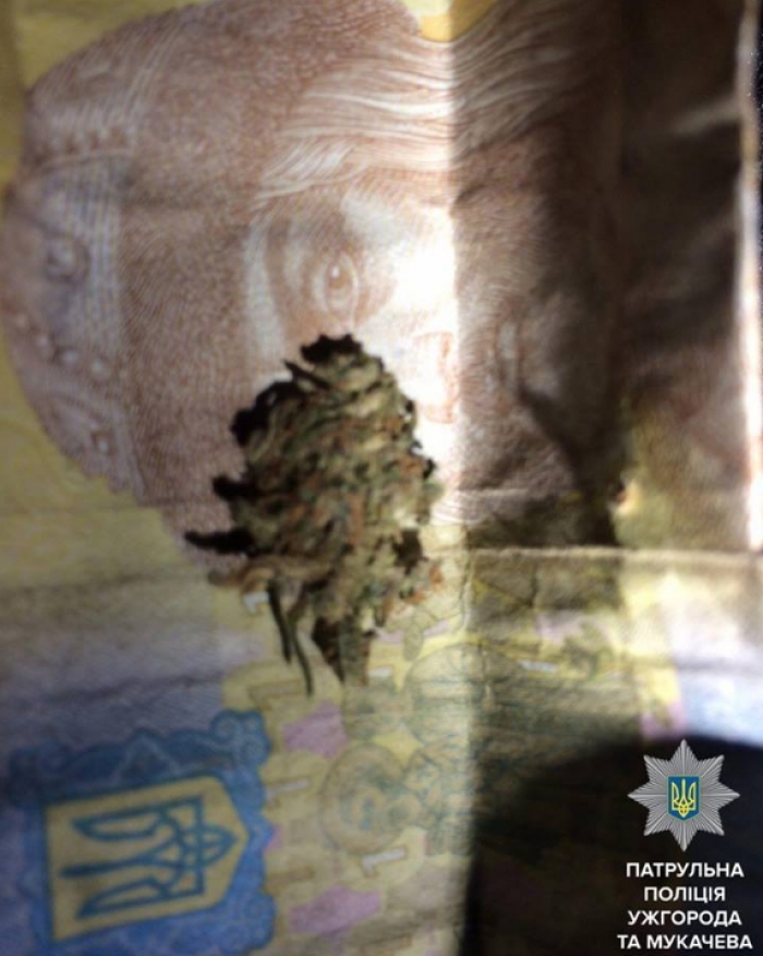 Ужгородський молодик розгулював містом з марихуаною в кишені