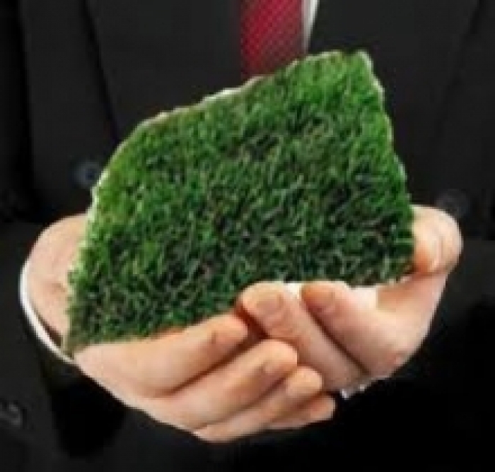 Суд повернув земельну ділянку Берегівському професійному ліцею