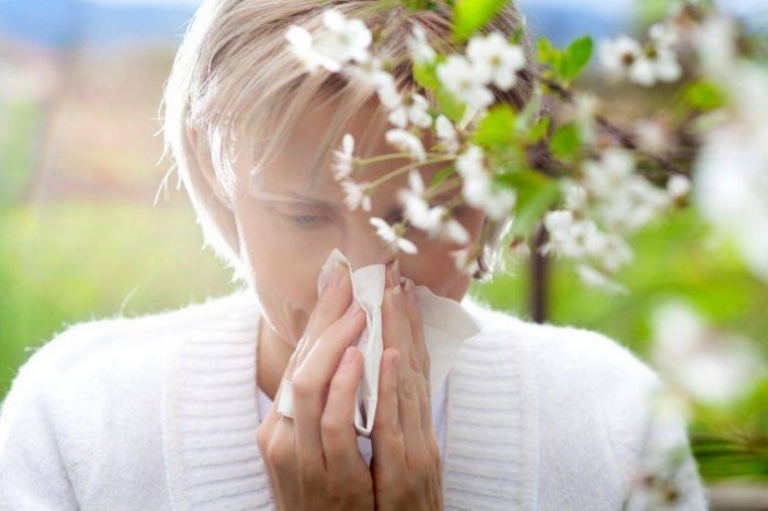 Сезон алергій почався – ужгородська лікар радить як рятуватися