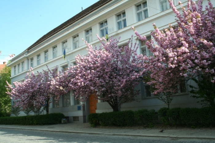 Новим головою Апеляційного суду Закарпаття обрана Ганна Фазикош