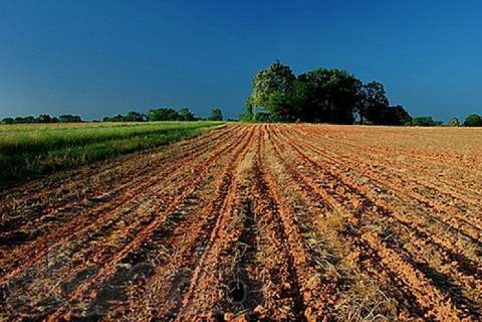 Держкомземівські чиновники "нафіглювали" з земелькою у горах Закарпаття