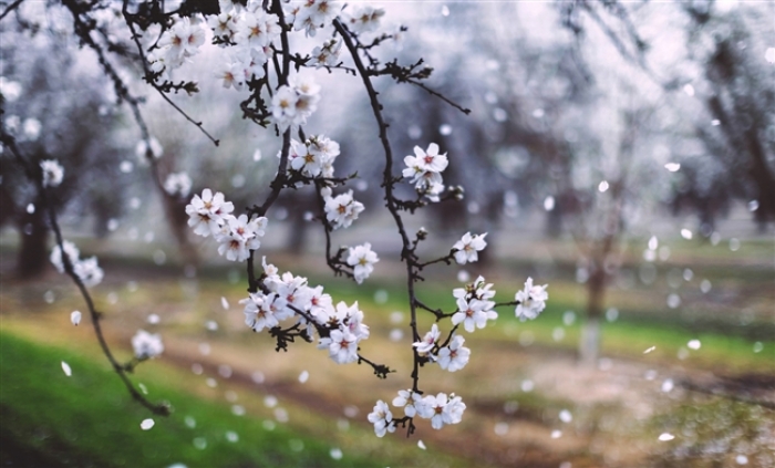 Що приготувала погода закарпатцям на 13 квітня