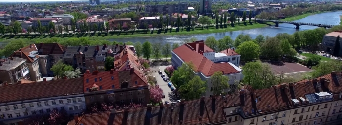 Вражаюче відео дня: Ужгород та сакури, які викликають приємні емоції