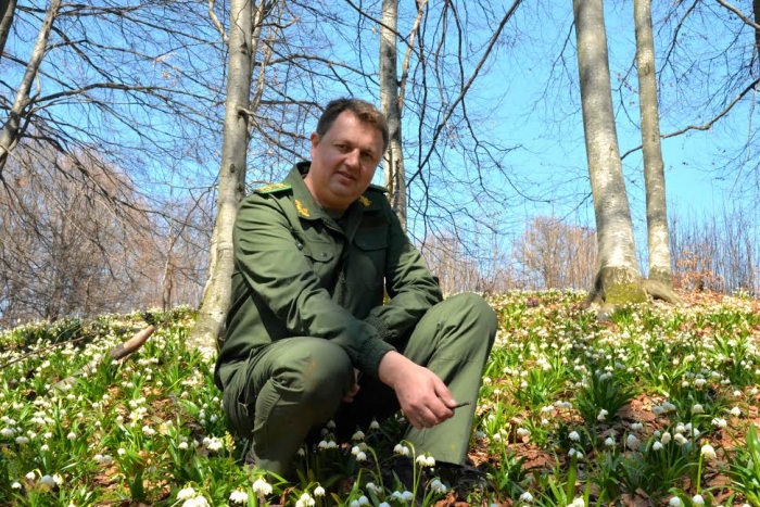 Головний лісівник області: «Закарпаття стає меккою екологічного руху в Україні»