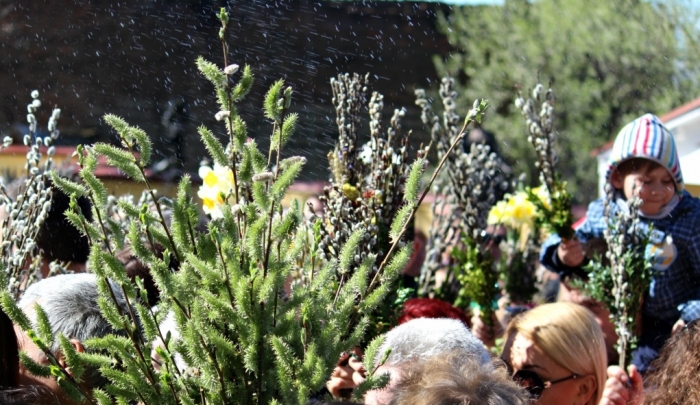 Ужгородські храми не вміщають вірних - Вербна неділя зібрала аншлаг