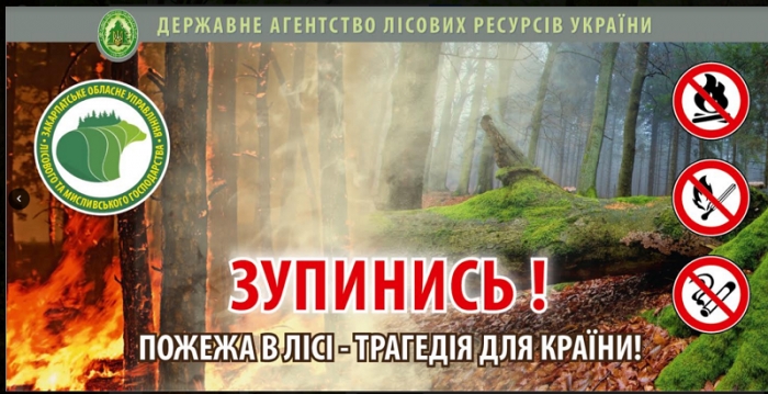 Помітили великий вогонь у лісі — негайно дзвоніть пожежникам і лісівникам!