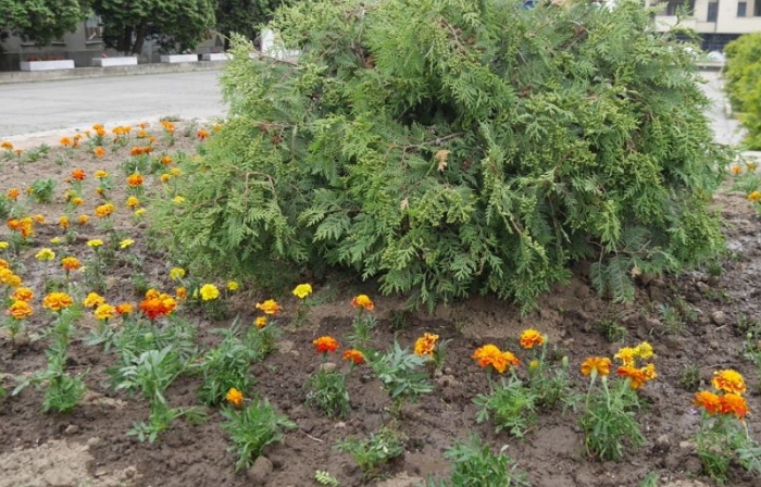Хто, де і що робить сьогодні в обласному центрі Закарпаття