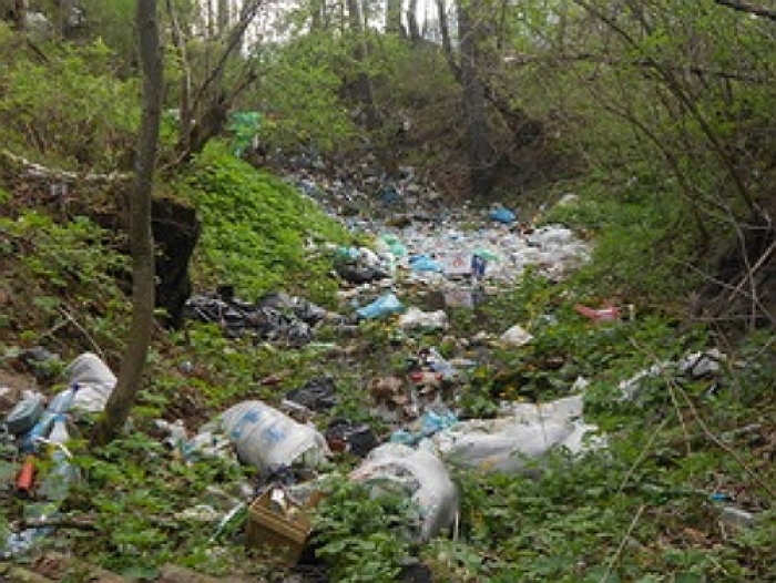 Сімерчани! Не валіть все на "вароських"!