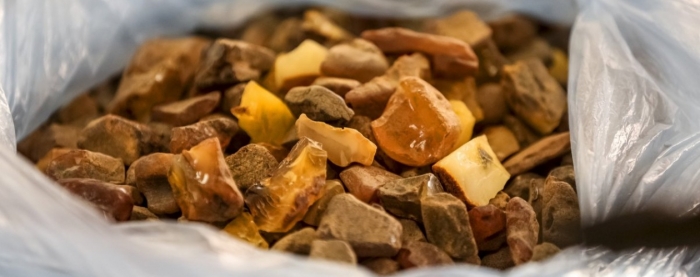 "Бурштиновий" іноземець, затриманий на Закарпатті, сплатить мільйонний штраф