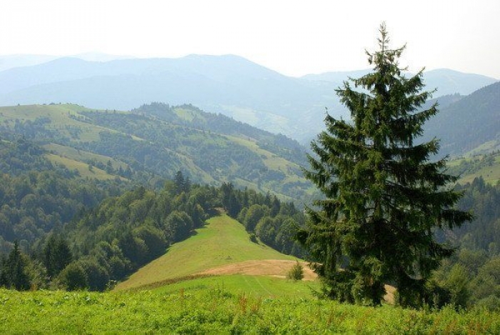 Куди йти та що дивитися на Закарпатті 8-9 травня