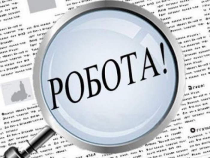 Роботодавці на Закарпатті готові проводити навчання для працівників