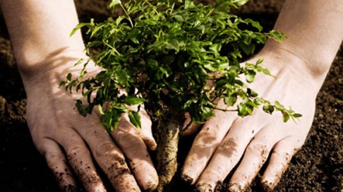 Зробімо свою малу батьківщину чистішою!