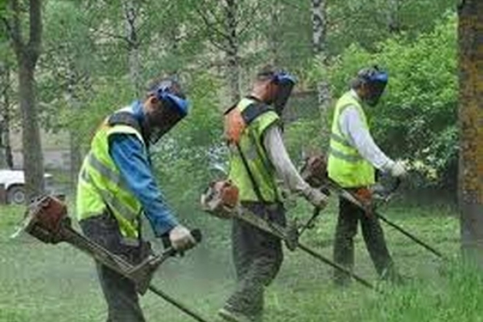Де, Хто і Що робить сьогодні в Ужгороді
