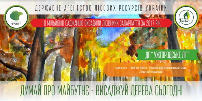 "Дитячі" білборди на Ужгородщині закликають берегти природу Карпатського краю 