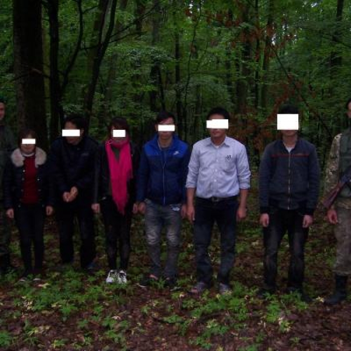 Кілька груп в`єтнамців-нелегалів затримали сьогодні вночі на Закарпатті