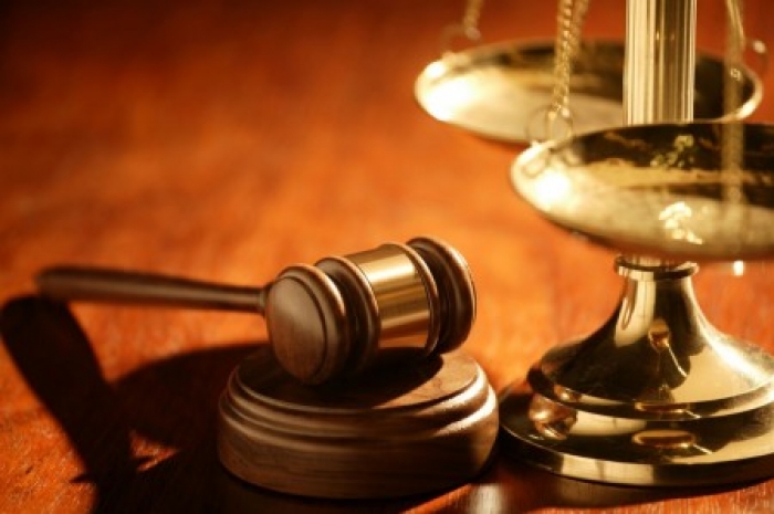 Третину мільйона гривень збитків заплатить до бюджету Хустський лісгосп