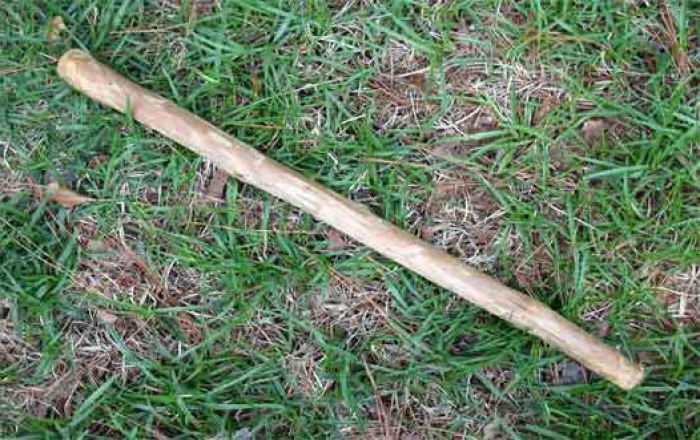 Поліція розпочала розслідування за фактом побиття жінки на Ужгородщині