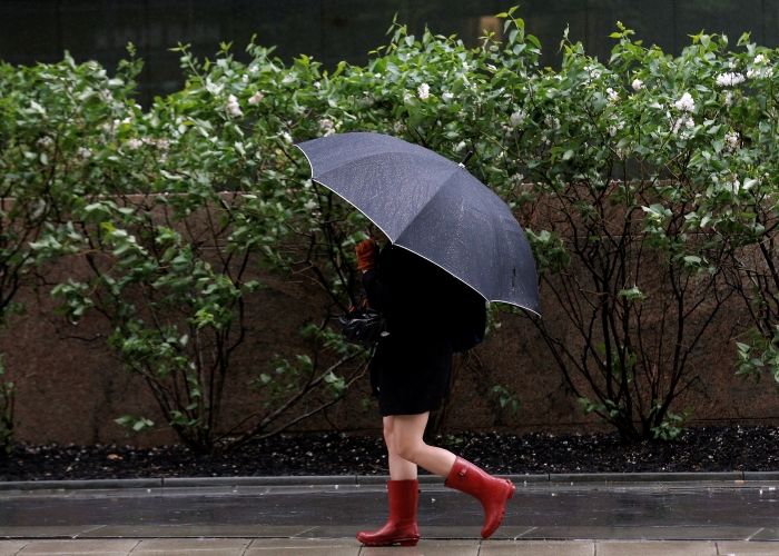 Дощі з грозами пройдуть сьогодні на Закарпатті