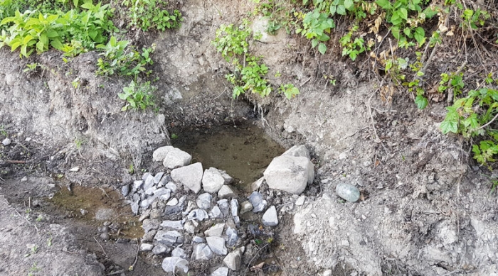 Вода в цьому закарпатському джерелі особлива, Богом дана!