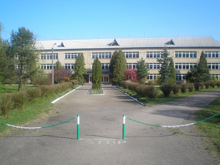 Тур'я-Реметівська ЗОШ із Закарпаття презентувала результати року роботи за новим форматом